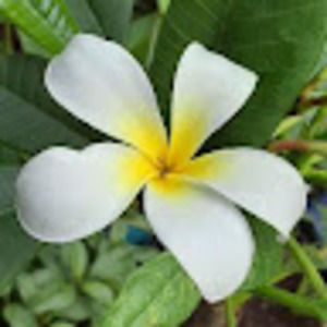 Meet your Posher, Tina